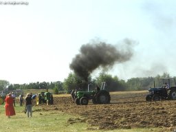 ws 186